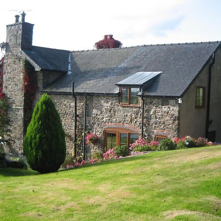 Bed and Breakfast Tan Y Graig Meifod Exterior foto