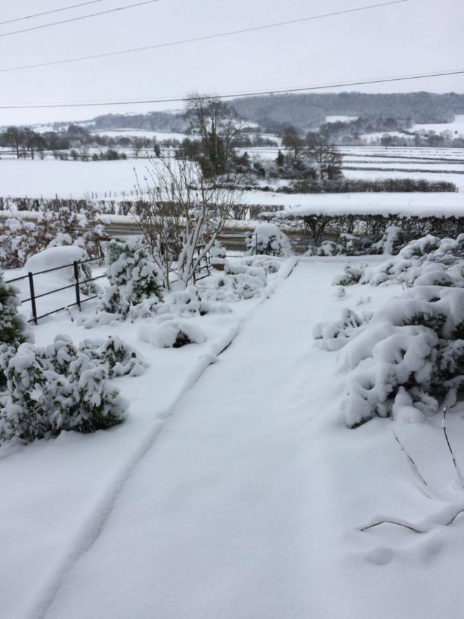 Bed and Breakfast Tan Y Graig Meifod Exterior foto